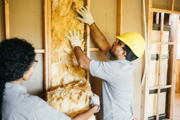 Best Batt and Roll Insulation  in Thurmont, MD